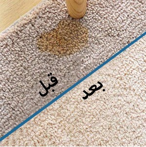 عرض ثلاث قطع مزيل البقع السحري