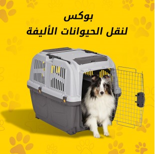 بوكس نقل الحيوانات الأليفة